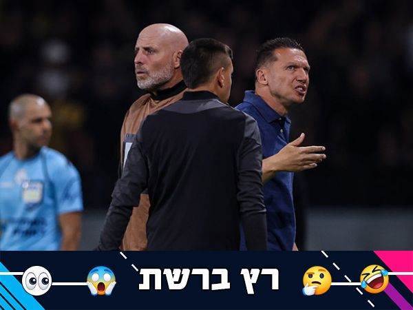 (אלן שיבר)
