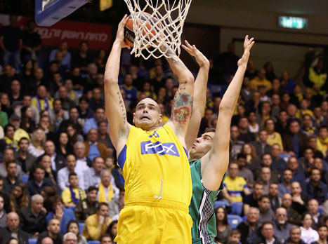 צירבס. בינתיים הוא נשאר (אלן שיבר)