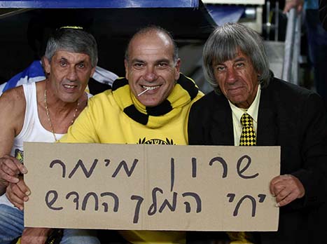 עדיין מלך? (אלן שיבר)