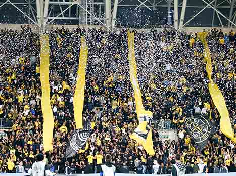 מתייצב לצד בית"ר (אלן שיבר)