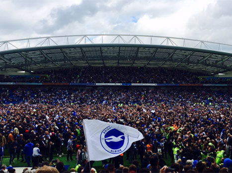 טירוף על כר הדשא (Twitter)