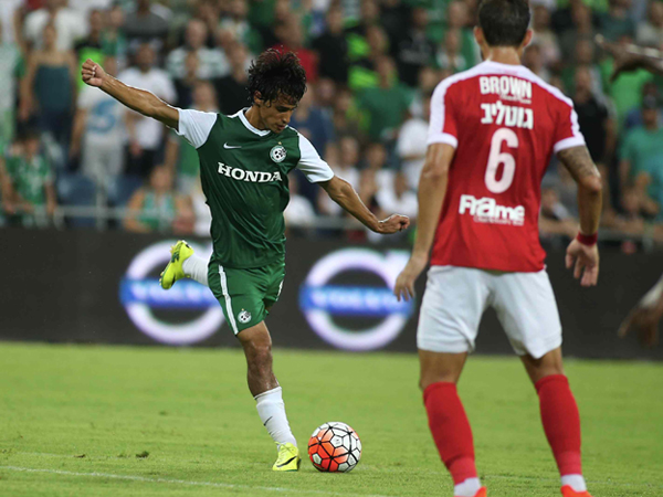 סינדרלה או לכלוכית? (אלן שיבר)