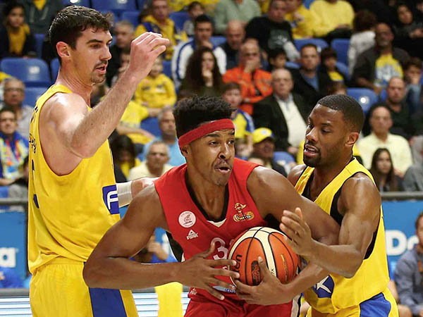 הרבה נוכחות בצבע. לידיי (אלן שיבר)