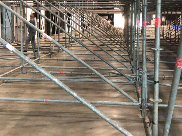 44 מדינות ייקחו חלק באליפות (איגוד הג'ודו)