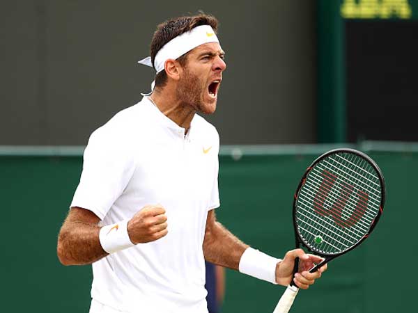 דל פוטרו, נדאל מחכה לו ברבע הגמר (getty)