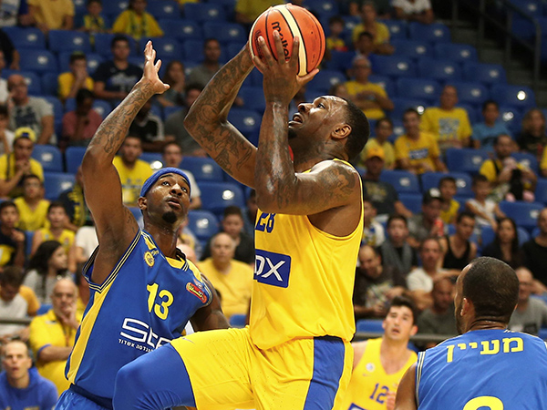 חגג מתחת לסלים (אלן שיבר)