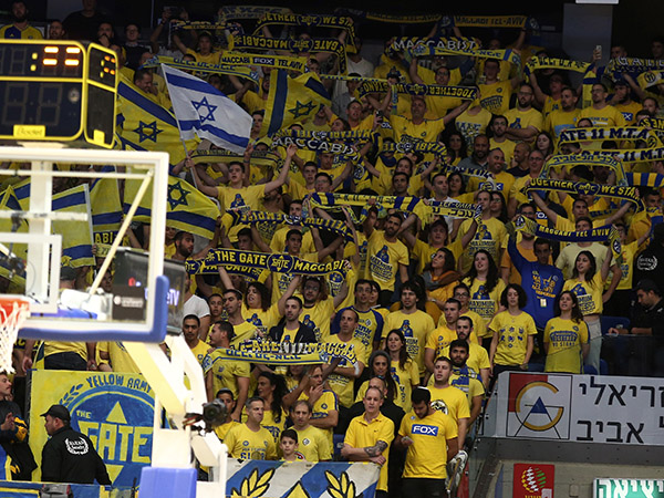 הקהל הצהוב צבע את ההיכל (אלן שיבר)