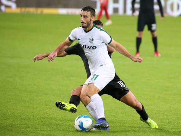 לביא. ייעדר בגביע (יוסי שקל)