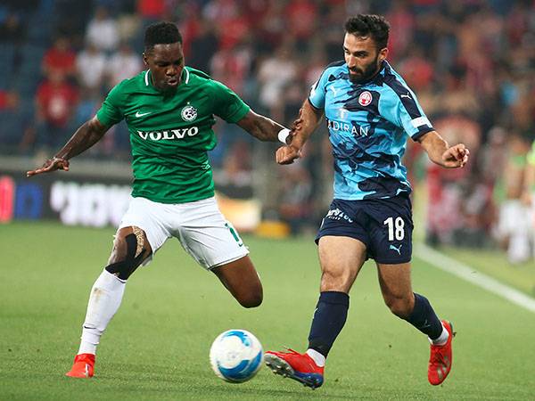 מאבוקה. עדיין לא כשיר (אלן שיבר)