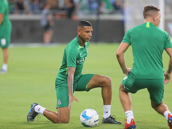 (נמרוד גליקמן)