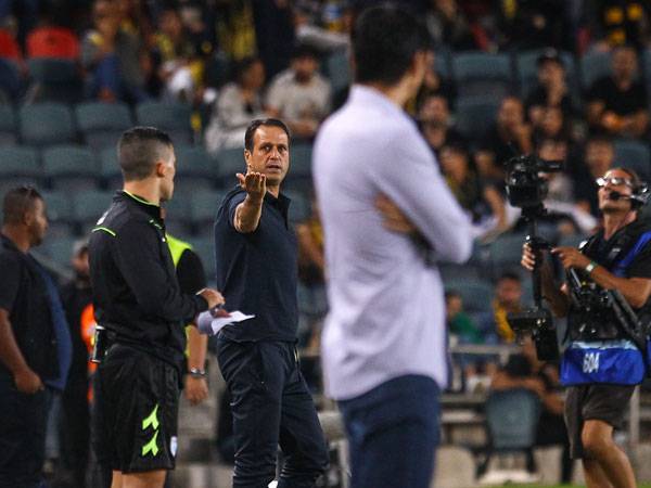 לוי. תחושות קשות (אלן שיבר)