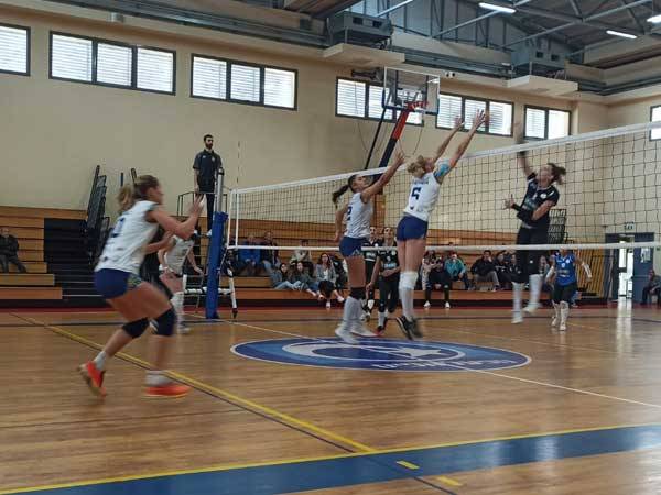 (צילום: מכבי אשדוד)