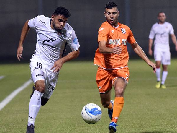 (ברני ארדוב)