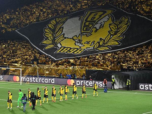 אוהדי יאנג בויז. עכשיו כולם שמחים (Getty)