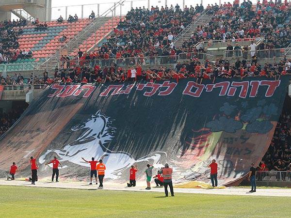 (צילום: אלן שיבר)