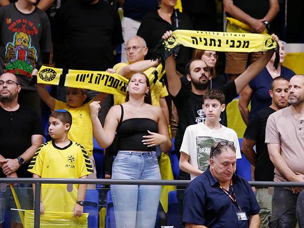 (צילום: אלן שיבר)