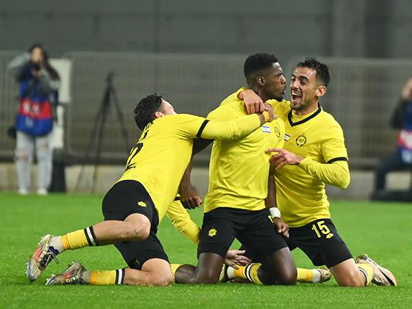 (ברני ארדוב)