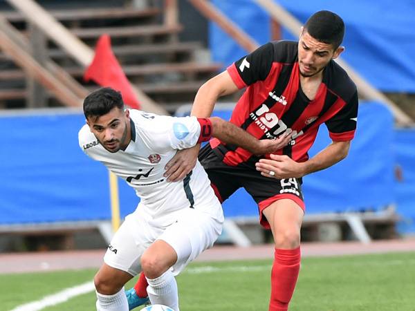 (ברני ארדוב)