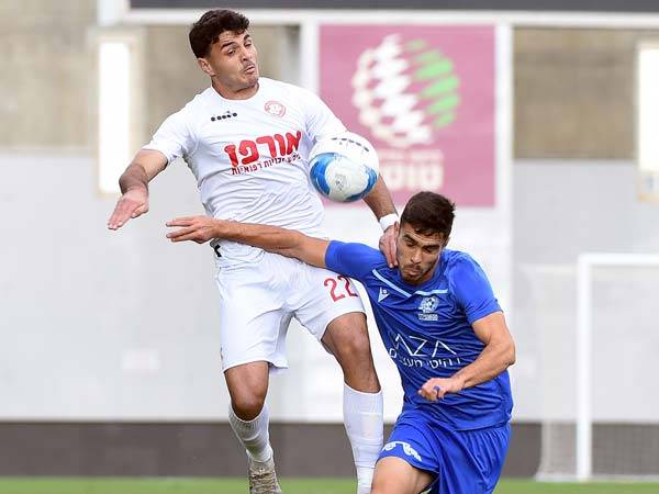 (ברני ארדוב)