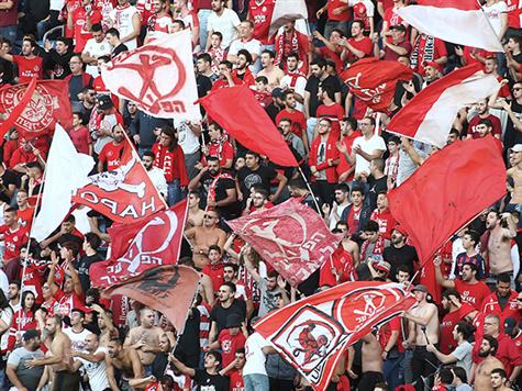 לא נשארו להם עוד שערות למרוט. אוהדי הפועל ת``א (צילום: אלן שיבר)