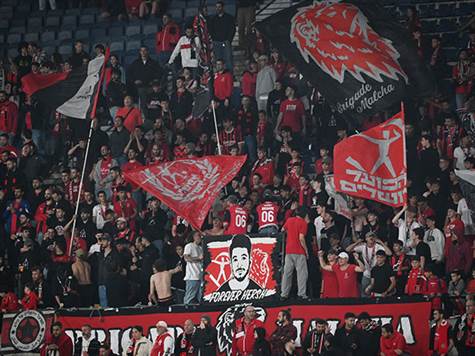 הערב בטדי: 2,080 צופים וצופות (צילום: ברני ארדוב)