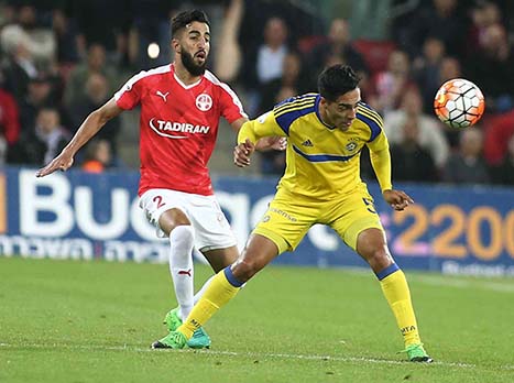 (צילום: אלן שיבר)