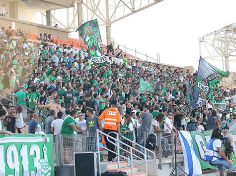 כמו תמיד, הם לא מאכזבים. אוהדי מכבי חיפה צבעו את עכו בירוק (צילום: יוסי שקל)