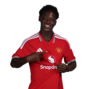 קובי מאינו