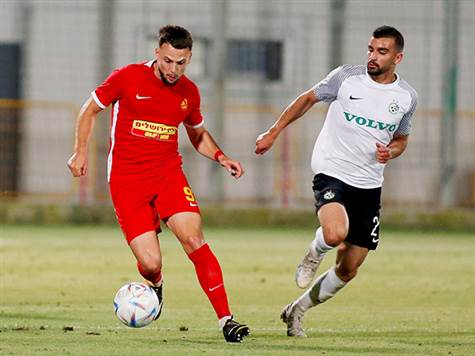 חיפה התעוררה (אלן שיבר)