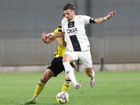 (צילום: אלן שיבר)