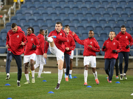 מחפשים הפתעה בטדי