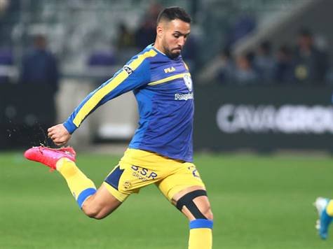 גם גולסה מחמם את הרגליים (צילום: אלן שיבר)