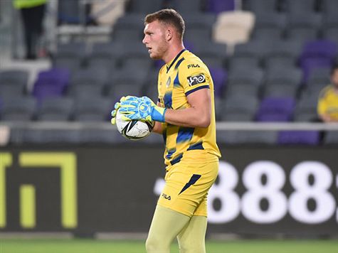 פרץ ממשיך בין הקורות (ברני ארדוב)