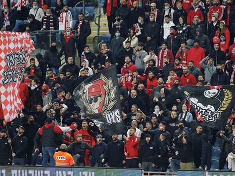 הערב במושבה: 1,300 צופים וצופות (צילום: אלן שיבר)