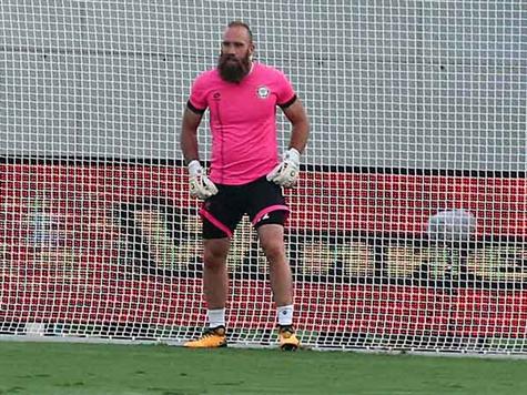 עמוס ינעל את השער? (אלן שיבר)