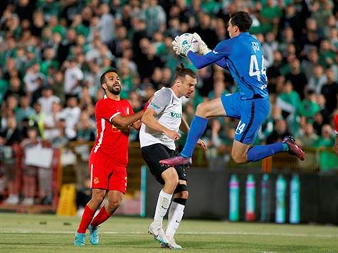 מחפשים שערים (אלן שיבר)