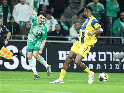 <strong>מחצית בסמי עופר (אלן שיבר)</strong>