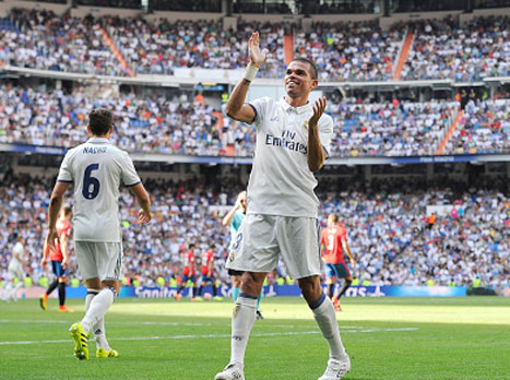 לפפה וחבריו יש הרבה סיבות לחגוג