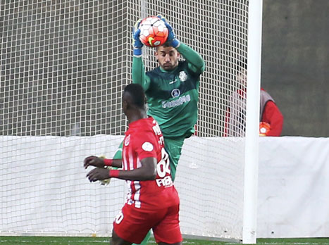 (צילום: אלן שיבר)