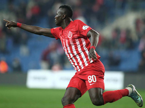 (צילום: אלן שיבר)