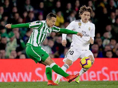 איזו התקפה של בטיס, כמעט 1:1! אנדרס גוודראדו שלח בעיטת וולה ברגל שמאל, והכדור טס סנטימטרים על יד הקורה. (getty, Erwin Spek Soccrates Images)