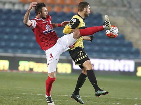 אווירה חמה&nbsp;בטדי (אלן שיבר)