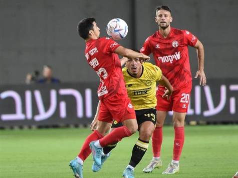 שאפי. מתקשה להשפיע (ברני ארדוב)