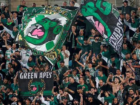 אוהדי חיפה רוצים שערים (אלן שיבר)