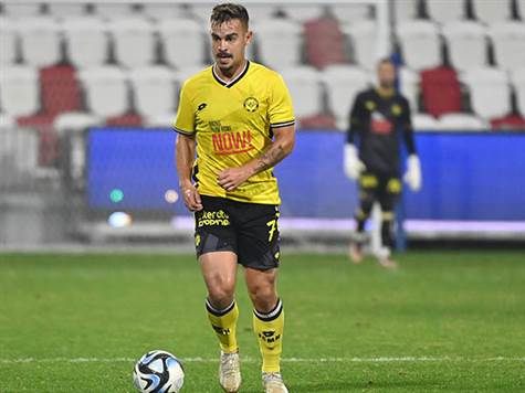 פלקושצ`נקו מצא את הרשת, אך השער נפסל בעקבות נבדל (ברני ארדוב)