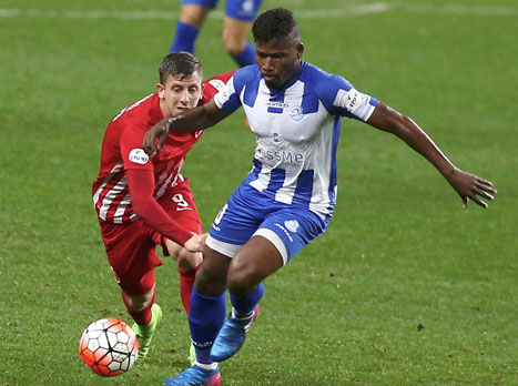 (צילום: אלן שיבר)