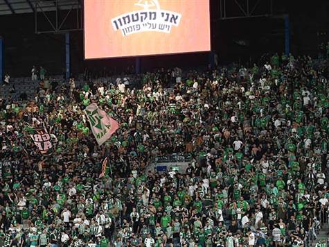 אוהדי חיפה בטדי (ברני ארדוב)