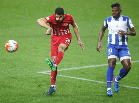 (צילום: אלן שיבר)