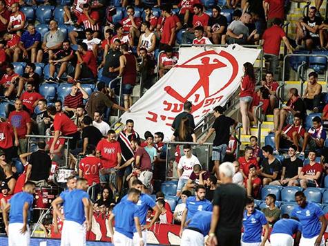 האוהדים כבר מוכנים (אלן שיבר)