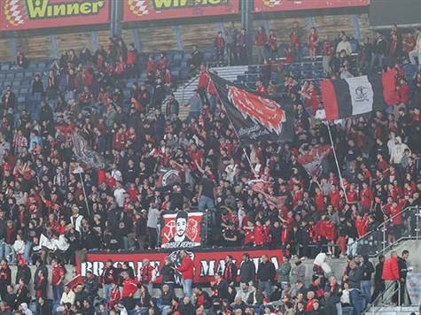 היום בטדי: 7,562 צופים וצופות (צילום: דני מרון)